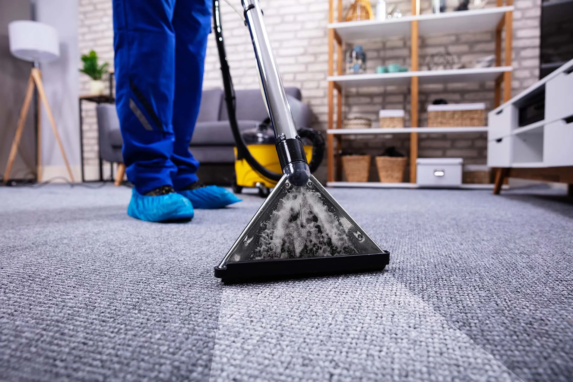 Professional carpet and upholstery steam cleaning